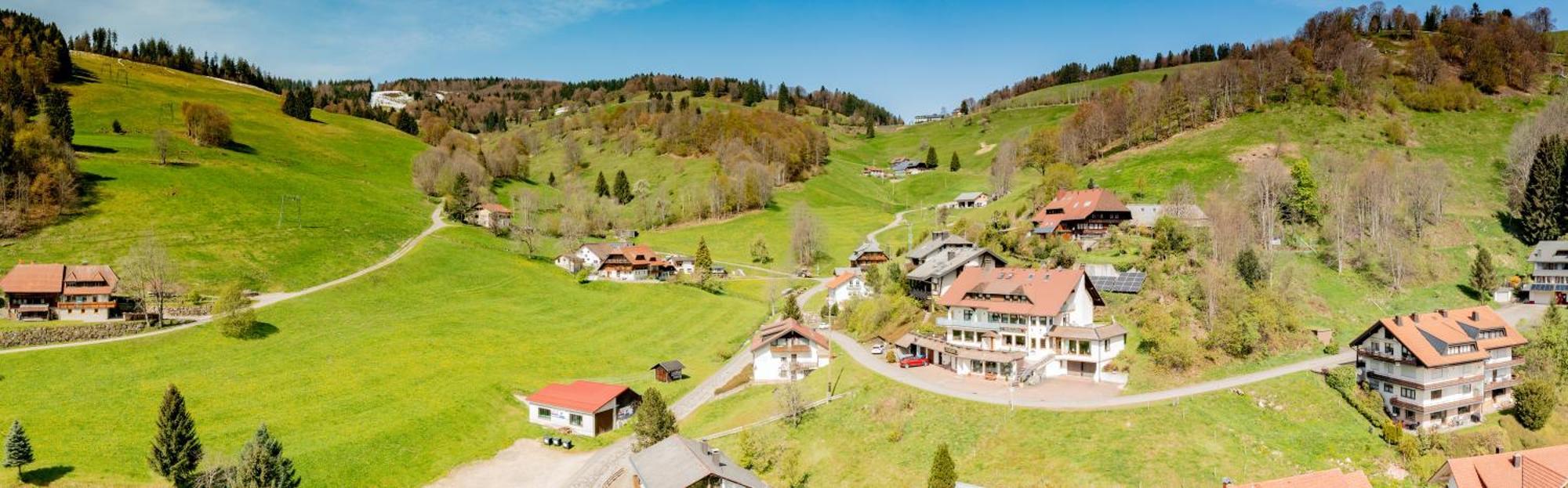 Schwarzwald Hotel Wiedenerhof Экстерьер фото
