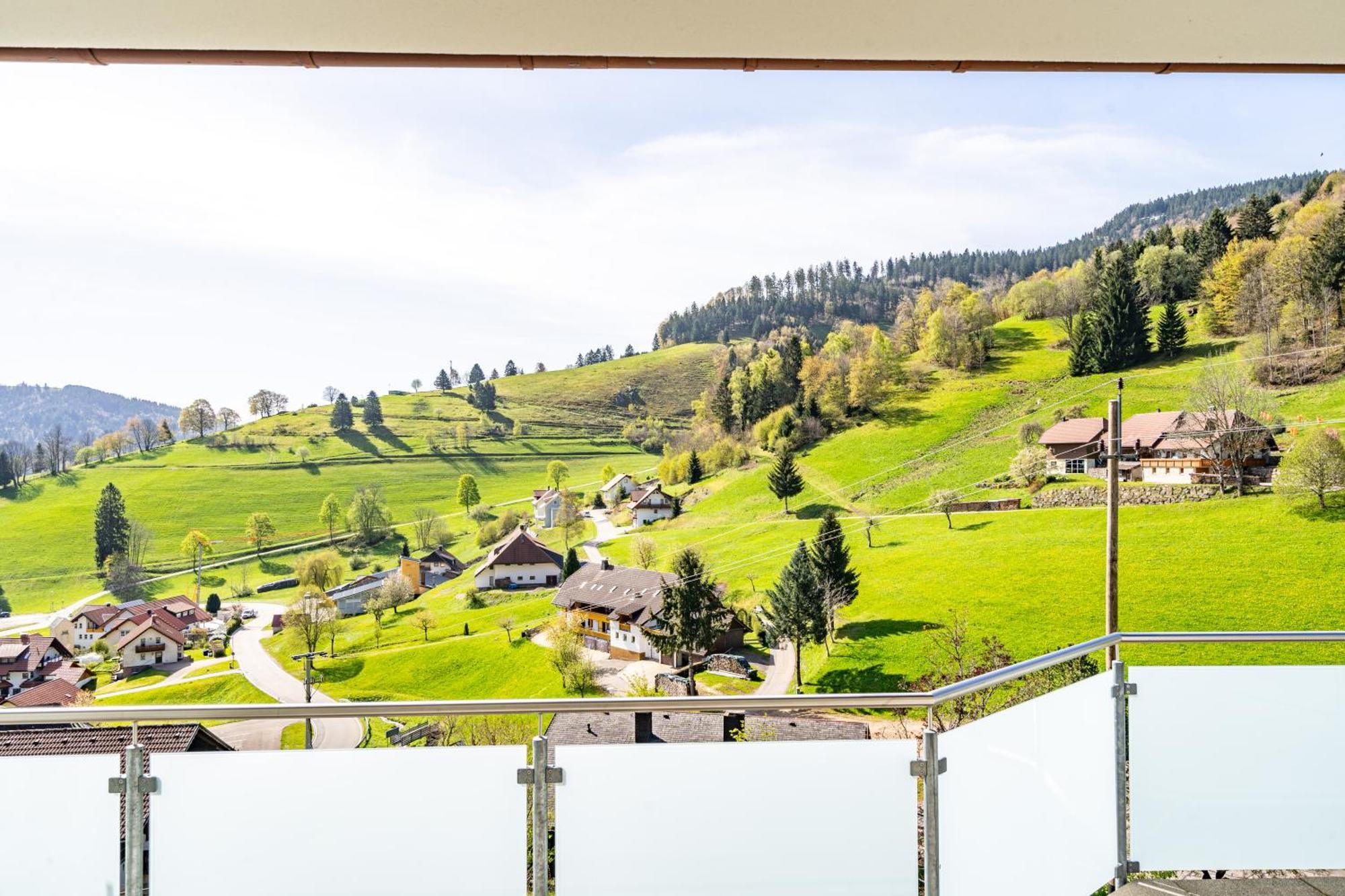 Schwarzwald Hotel Wiedenerhof Экстерьер фото